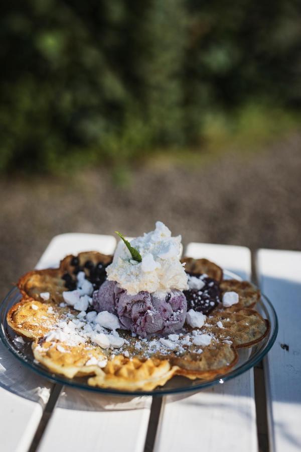 Vaffelcafe Bed & Breakfast Dannäs エクステリア 写真
